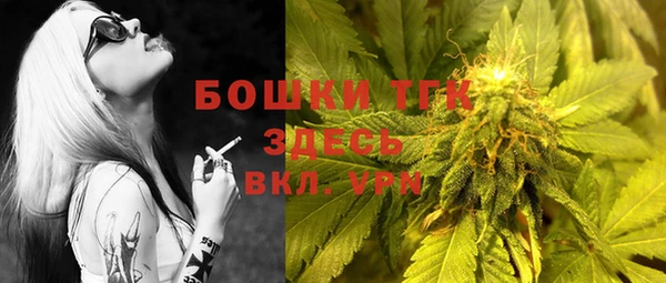 крисы Горнозаводск