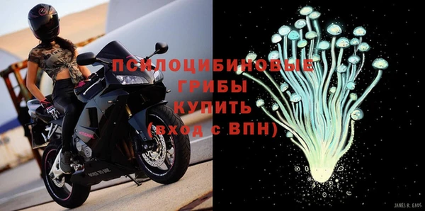молекула духа Горно-Алтайск