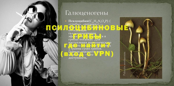 крисы Горнозаводск