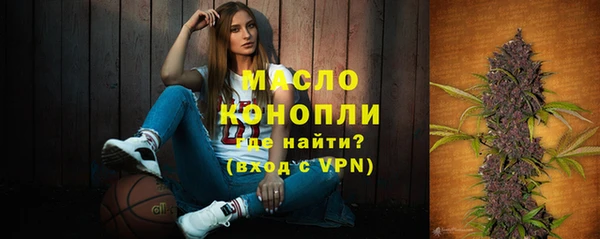 молекула духа Горно-Алтайск